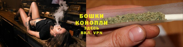 крисы Белоозёрский